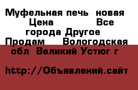 Муфельная печь (новая)  › Цена ­ 58 300 - Все города Другое » Продам   . Вологодская обл.,Великий Устюг г.